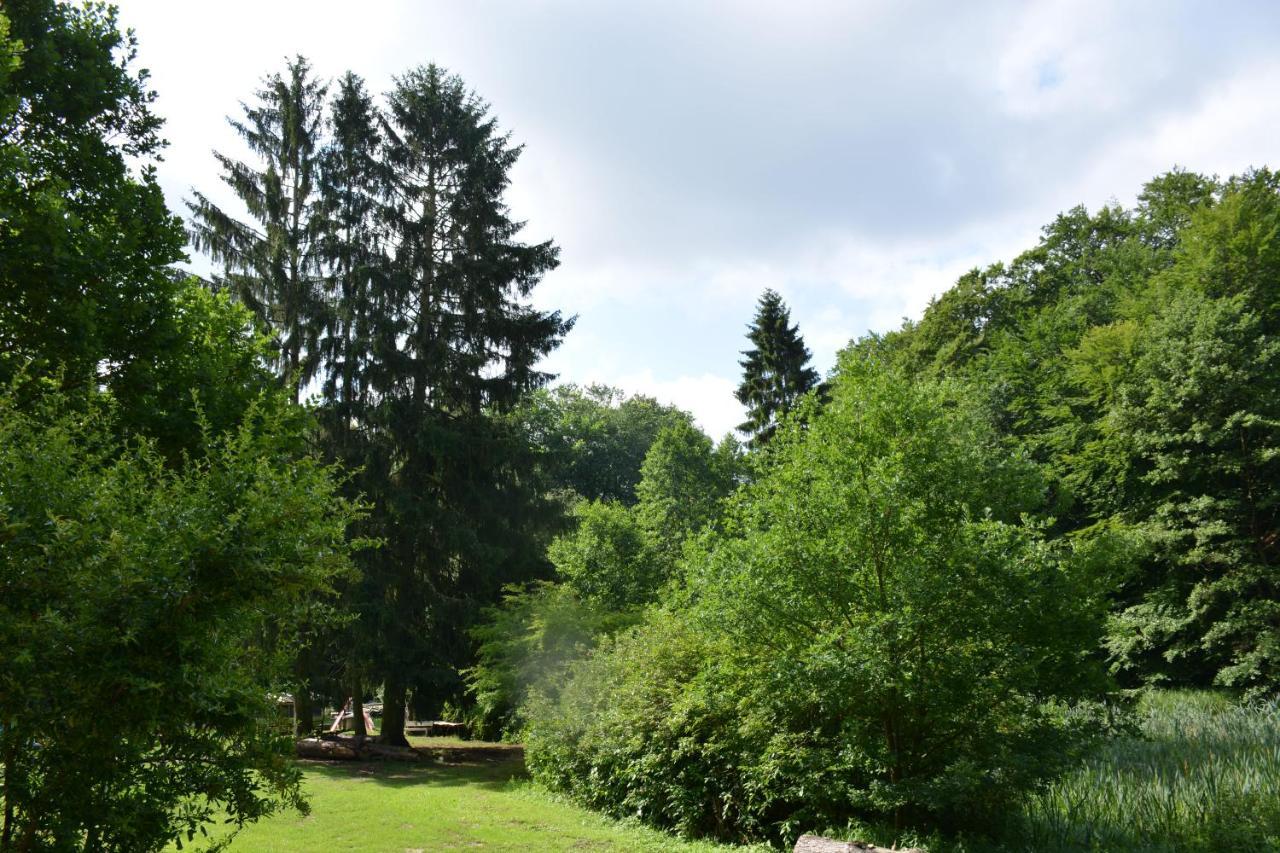 Bungalows Am Waldessaum Bei Hohenzieritz Bagian luar foto
