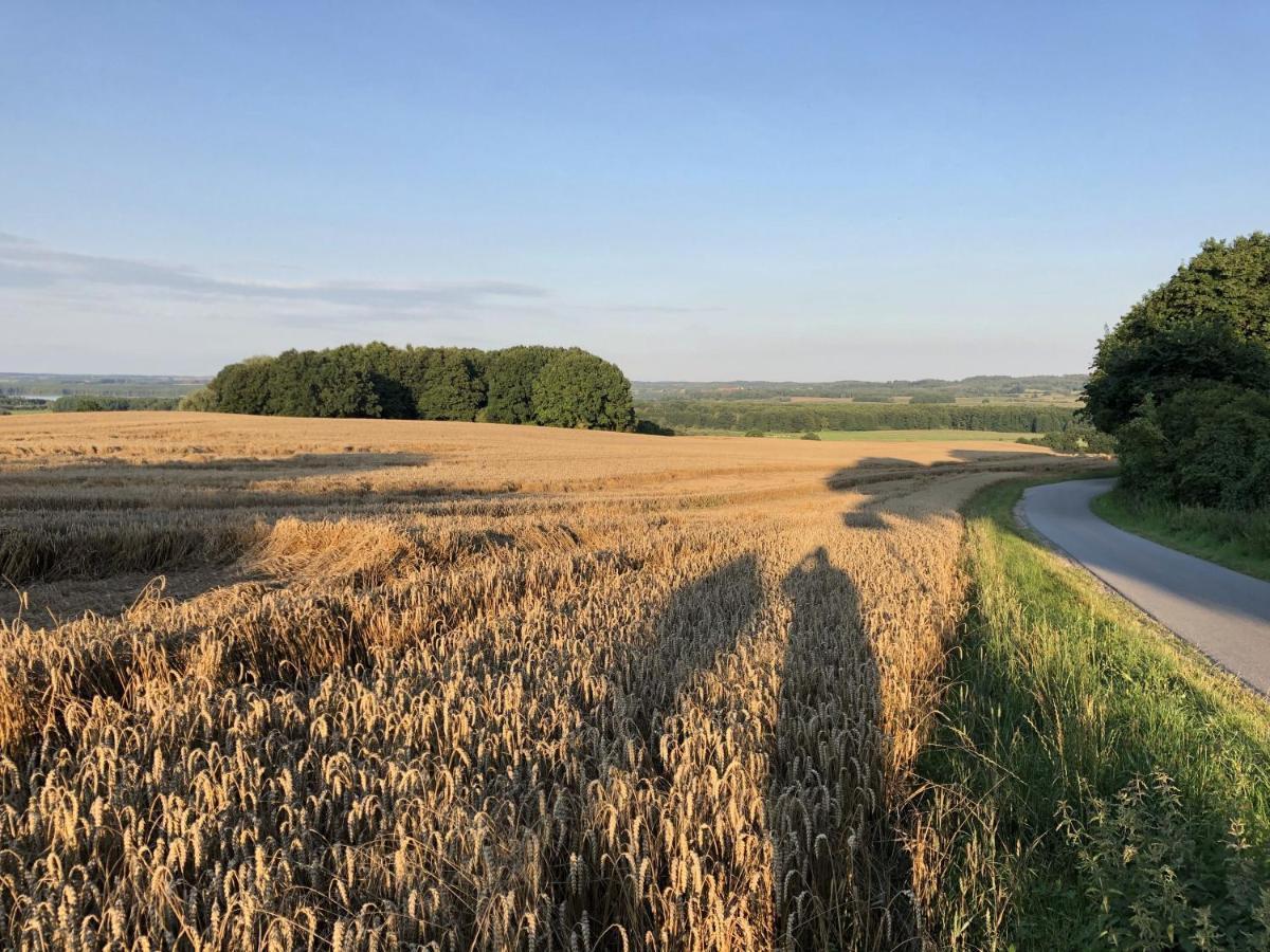 Bungalows Am Waldessaum Bei Hohenzieritz Bagian luar foto