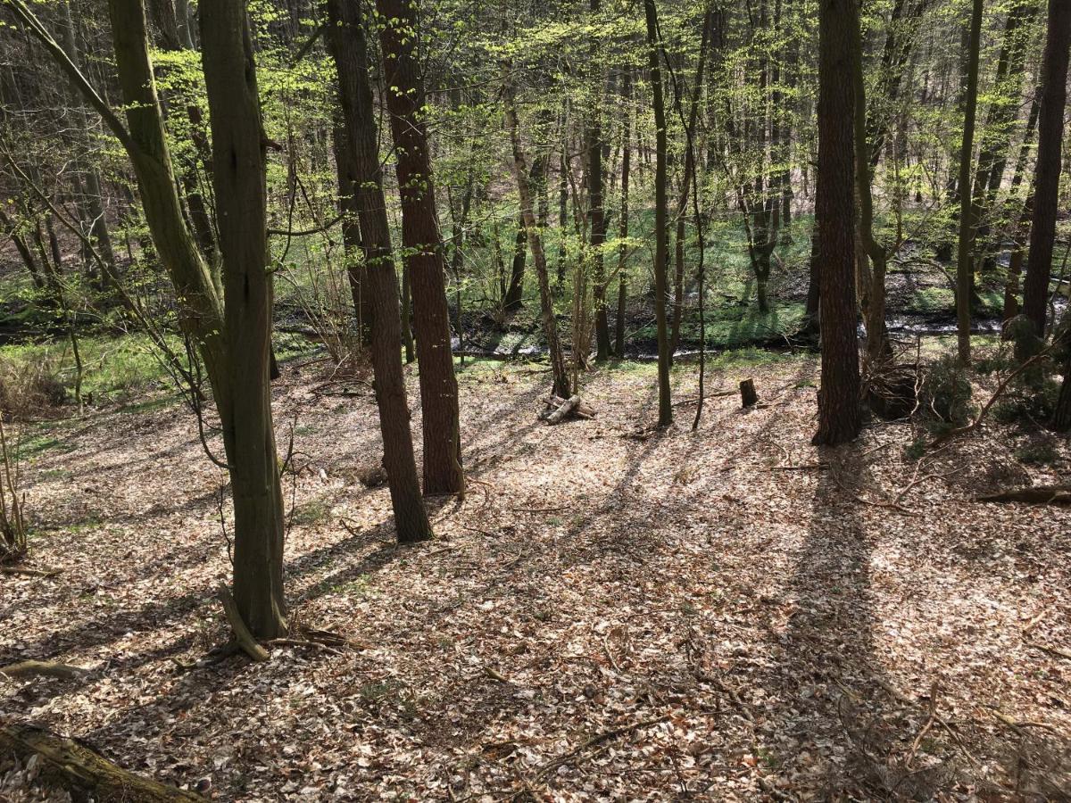 Bungalows Am Waldessaum Bei Hohenzieritz Bagian luar foto
