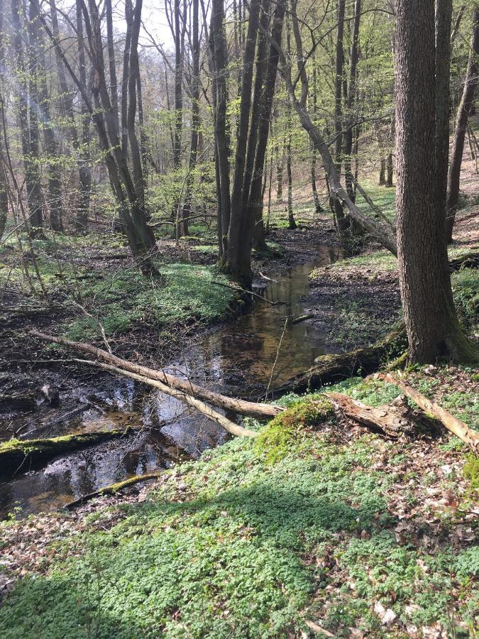 Bungalows Am Waldessaum Bei Hohenzieritz Bagian luar foto